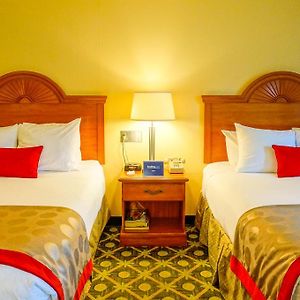 Two Queen Bed Superior Room Non-Smoking